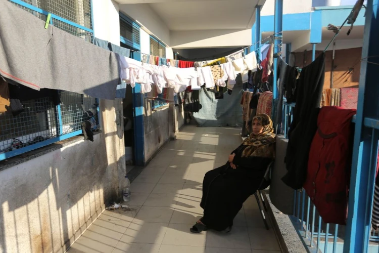 Ket. Foto: Sekelompok Pemukim Penjajah Israel Mencuri Hampir 30 Domba Miliki Salah Seorang Rakyat Palestina di Tepi Barat