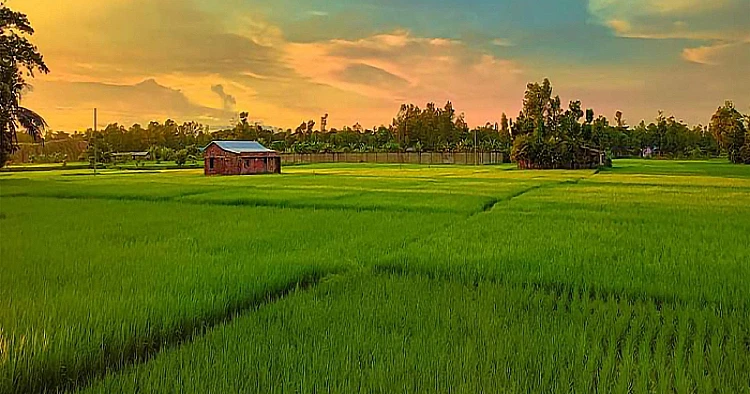 Tiongkok menggunakan AI dalam industri pertanian