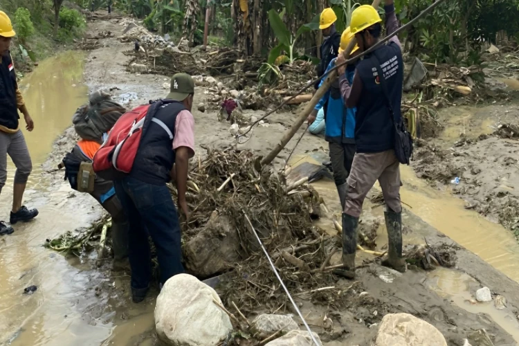 Ket. Foto: PLN Memperbaiki Jaringan Listrik di Provinsi Sulawesi Tengah