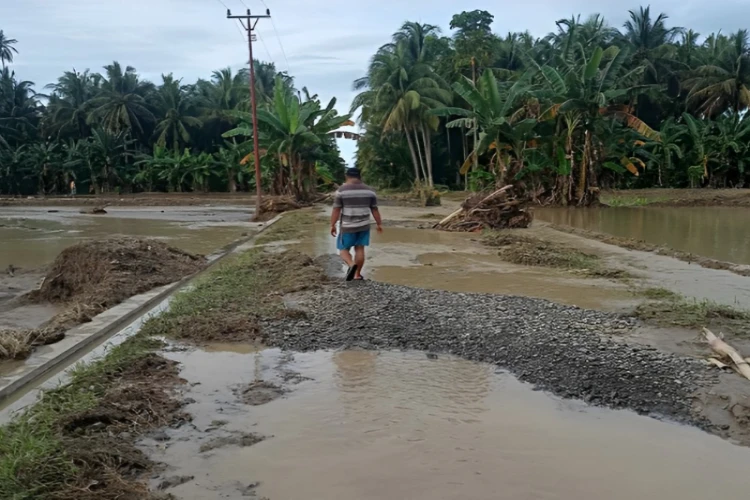 Ket. Foto: Lahan Pertanian yang Rusak Akibat Banjir Didata oleh Dinas TPHP Kabupaten Parigi Moutong