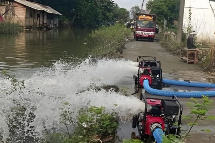 Ket. Foto: Lebih dari 3000 Hektare Padi Siap Tanam di Demak Dikabarkan Membusuk Karena Terendam Banjir Lebih dari Sepekan