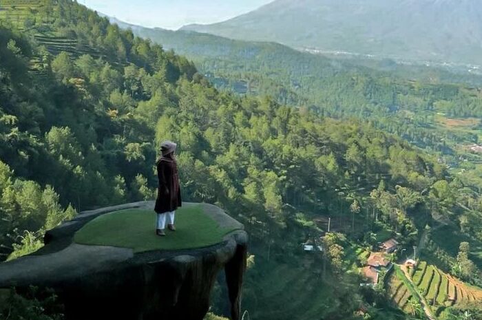 <p>Ket Foto: Pesona Goa Pinus Batu (Foto/Instagram/@yoiki_malang)	</p>
