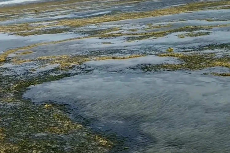 Ket Foto: Pantai Sawah Kabayan