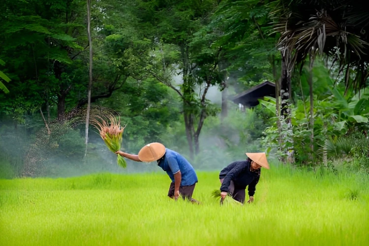 Ket. Foto: Bapanas Meminta Bulog untuk Terus Memperkuat Perannya Sebagai Offtaker Hasil Panen Petani