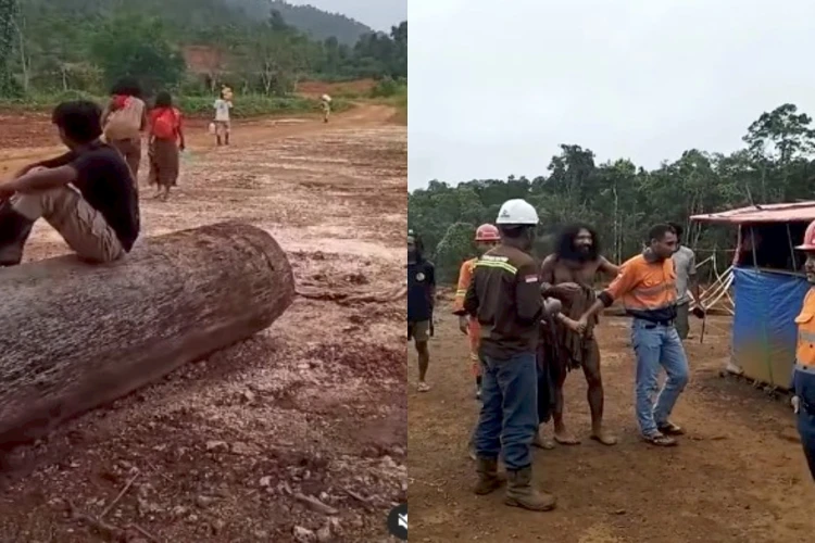 3 anggota Suku Togutil di Halmahera Timur Maluku Utara yang sempat keluar datangi para pekerja tambang kini sudah kembali ke hutan.