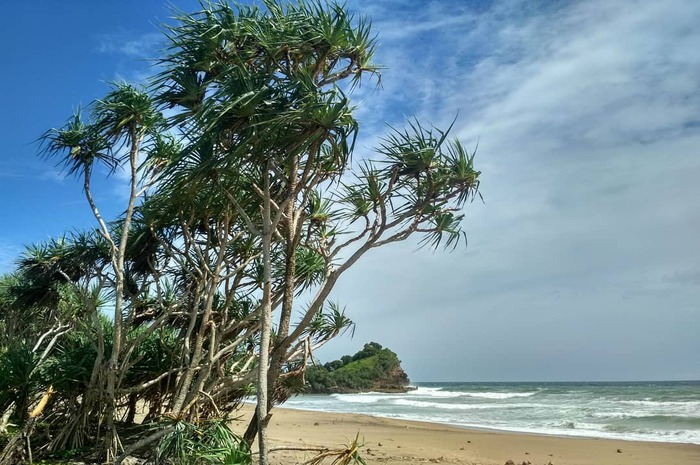 <p>Ket Foto: Foto pesona Pantai Wonogoro Jawa Timur (Foto/Instagram/@pantaiwonorogo)</p>
