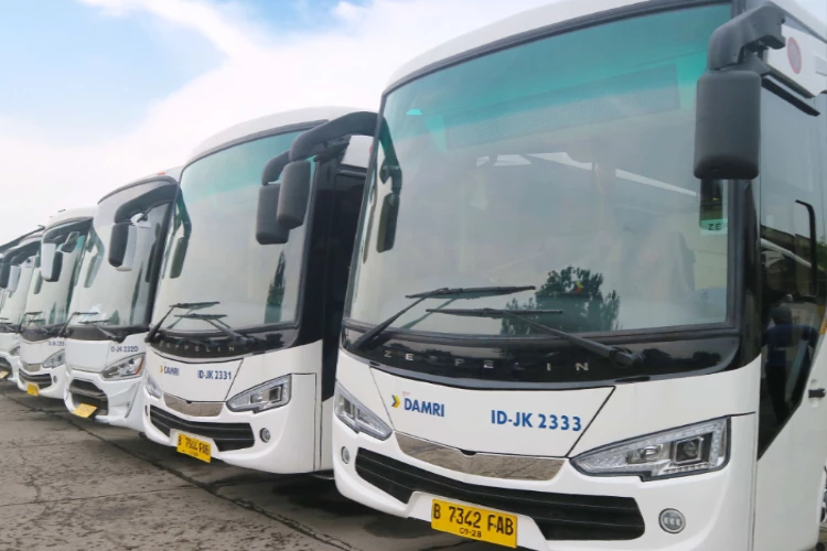 Ket. Foto: DAMRI Menyatakan Penumpang Naik Signifikan Dibandingkan Tahun 2022 (Foto/X/@DamriIndonesia)
