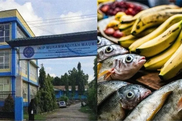Kebijakan Universitas Muhammadiyah Maumere di NTT yang memperbolehkan mahasiswa untuk membayar uang kuliah dengan hasil bumi jadi sorotan.