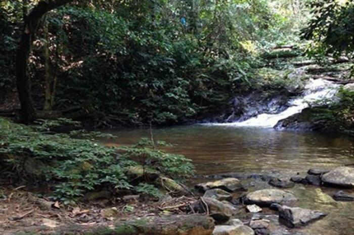 <p>Ket Foto: Foto Air Terjun Riam Kendong (Foto/Website resmi Direktori Pariwisata)</p>
