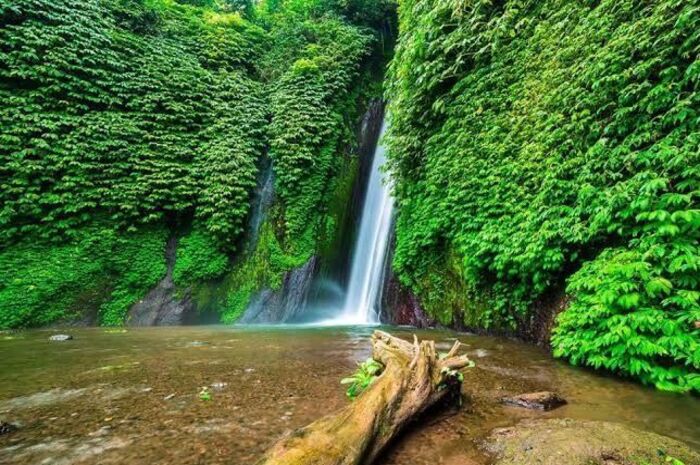 <p>Ket Foto: Foto Air Terjun Melanting (Foto/Instagram/@dunialoka.id)</p>
