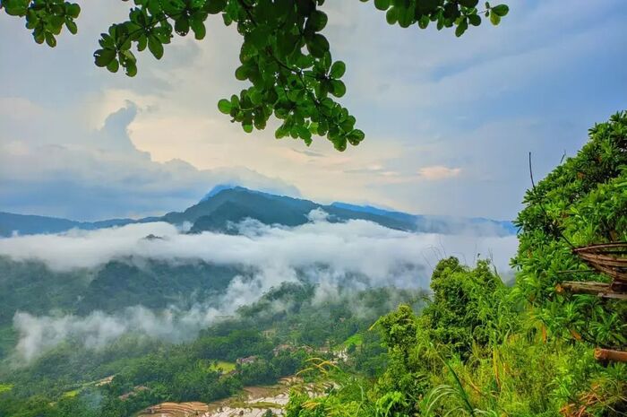 <p>Ket Foto: Foto pesona Puncak Bangku Ciamis (Foto/Instagram/@puncakbangku)	</p>

