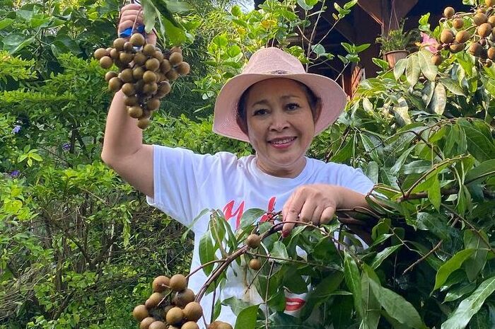 <p>Ket Foto: Foto Titiek Soeharto (Foto/Instagram/@titieksoeharto)	</p>
