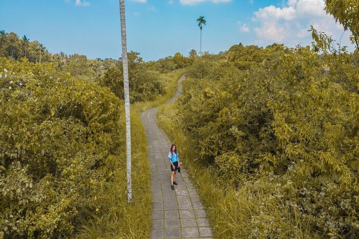 <p>Ket Foto: Pesona Bukit Campuhan Bali (Foto/Instagram/@bdrytssf)	</p>
