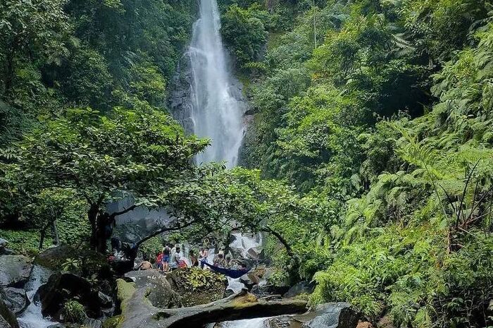 <p>Ket Foto: Pesona Curug Cikaracak Bogor (Foto/Instagram/@curug.cikaracak)</p>
