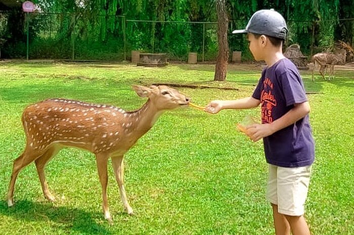 <p>Ket Foto: Pesona Taman Wisata Matahari Bogor (Foto/Instagram/@kenziealvasetiadi17)	</p>
