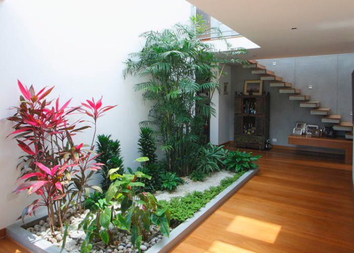 Ket. Foto: Taman mini yang estetik di dalam rumah (Foto/Pinterest @designmilk)