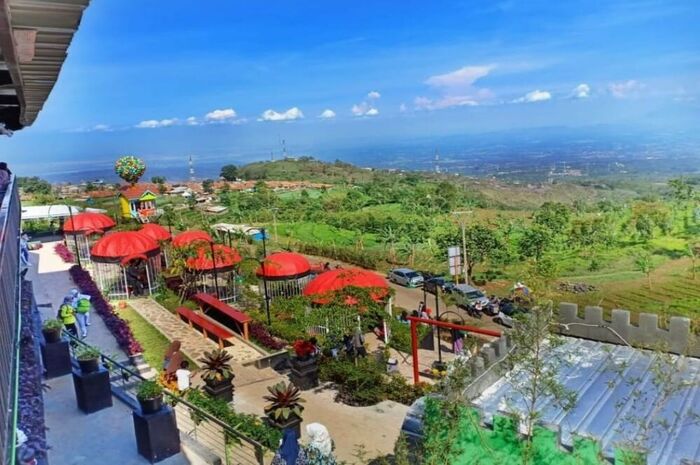 <p>Ket Foto: Foto Pondok Cai Pinus (Foto/Instagram/@pondok_pinus)</p>
