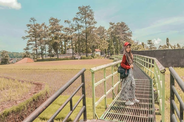 <p>Ket Foto: Foto Hutan Kota Bungkirit (Foto/Instagram/@viewkuningan)</p>

