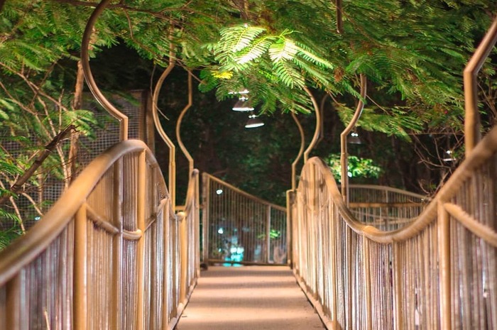 <p>Ket Foto: Foto Taman Hutan Joyoboyo (Foto/Instagram/@eventjawatimur)</p>
