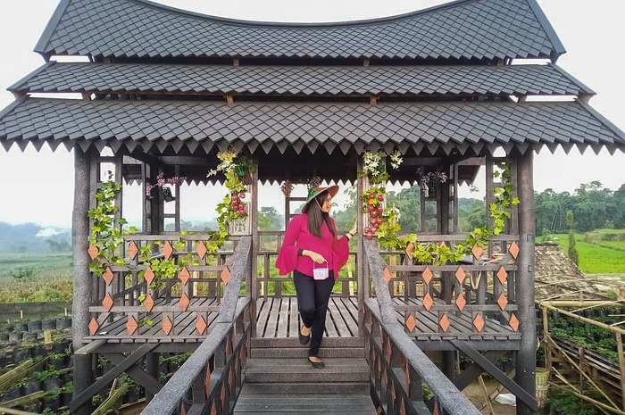 <p>Ket Foto: Foto Strawberry Highland Pujon Jawa Timur (Foto/Instagram/@wisata_kota.batu)</p>
