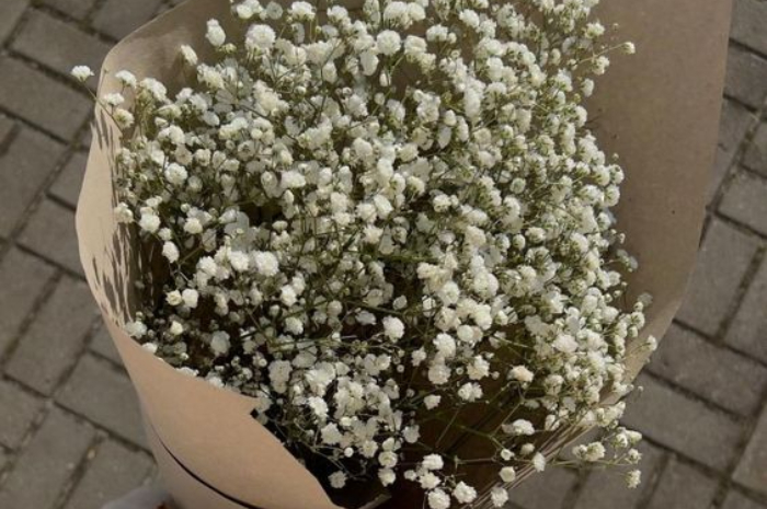 Ket Foto: Bunga Babys Breath (Foto/Pinterest @tumblr)