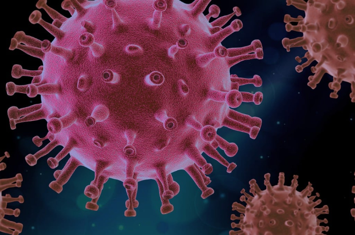 Ket. Foto : Dinkes DKI Jakarta Umumkan Kasus Covid 19 Bertambah 271 Sepekan (Foto/Pixabay/Virus Covid 19)