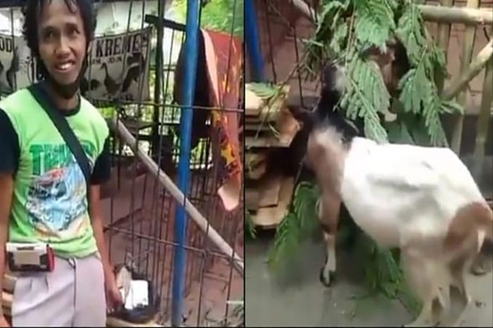 <p>Foto: Aep, pengumpul kardus di Bekasi bisa beli hewan kurban/Motivasi Hijrah Muslim.</p>
