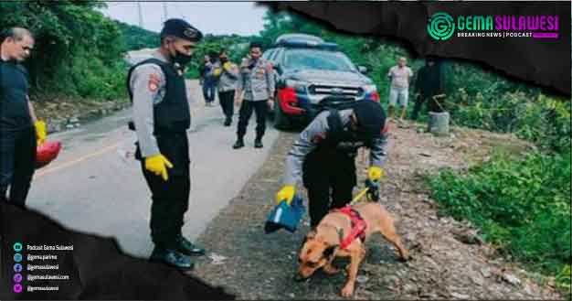 <p>Anjing Pelacak Satuan K9 Polda Ditsamapta Bantu Pencarian Dr Faisal</p>
