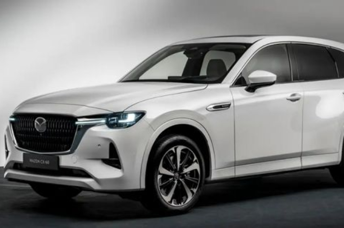 <p>Ket Foto: Mazda CX-60 di Indonesia (Pinterest/@zalopnic)</p>