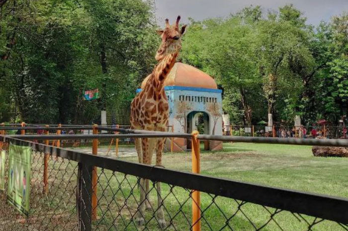 <p>Ket foto: Destinasi wisata di Surabaya yang bisa dijadikan tujuan saat berlibur (Foto/Instagram/@exploresurabayazoo @_ambivalencee)</p>
