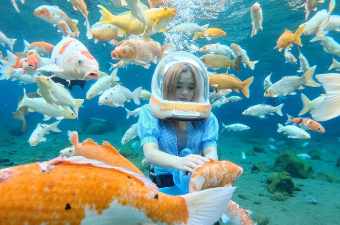 <p>Ket foto: Intip keindahan bawah air di wisata Umbul Ponggok Klaten, spot foto Instagramable bikin feeds jadi menarik (Foto/Instagram/melanie.anastasia)</p>
