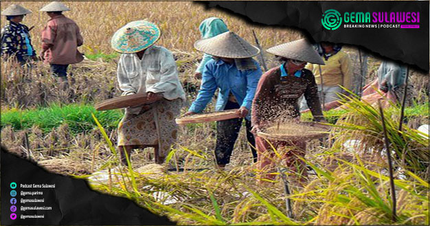<p>Ket Foto: Petani memanen padi (Foto Ilustrasi/Pixabay)</p>
