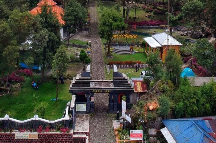 <p>Ket Foto: Ilustrasi foto Cemoro Sewu Magetan (Foto/Instagram/@dhian_hardiodisastro)</p>
