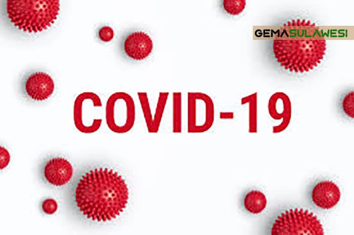 <p>Ilustrasi virus corona</p>
