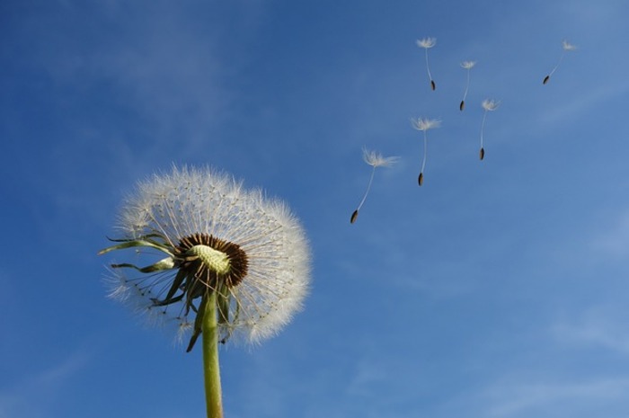 <p>Ket Foto: Ilustrasi foto langit yang cerah (Foto/Pixabay/Cerah)	</p>
