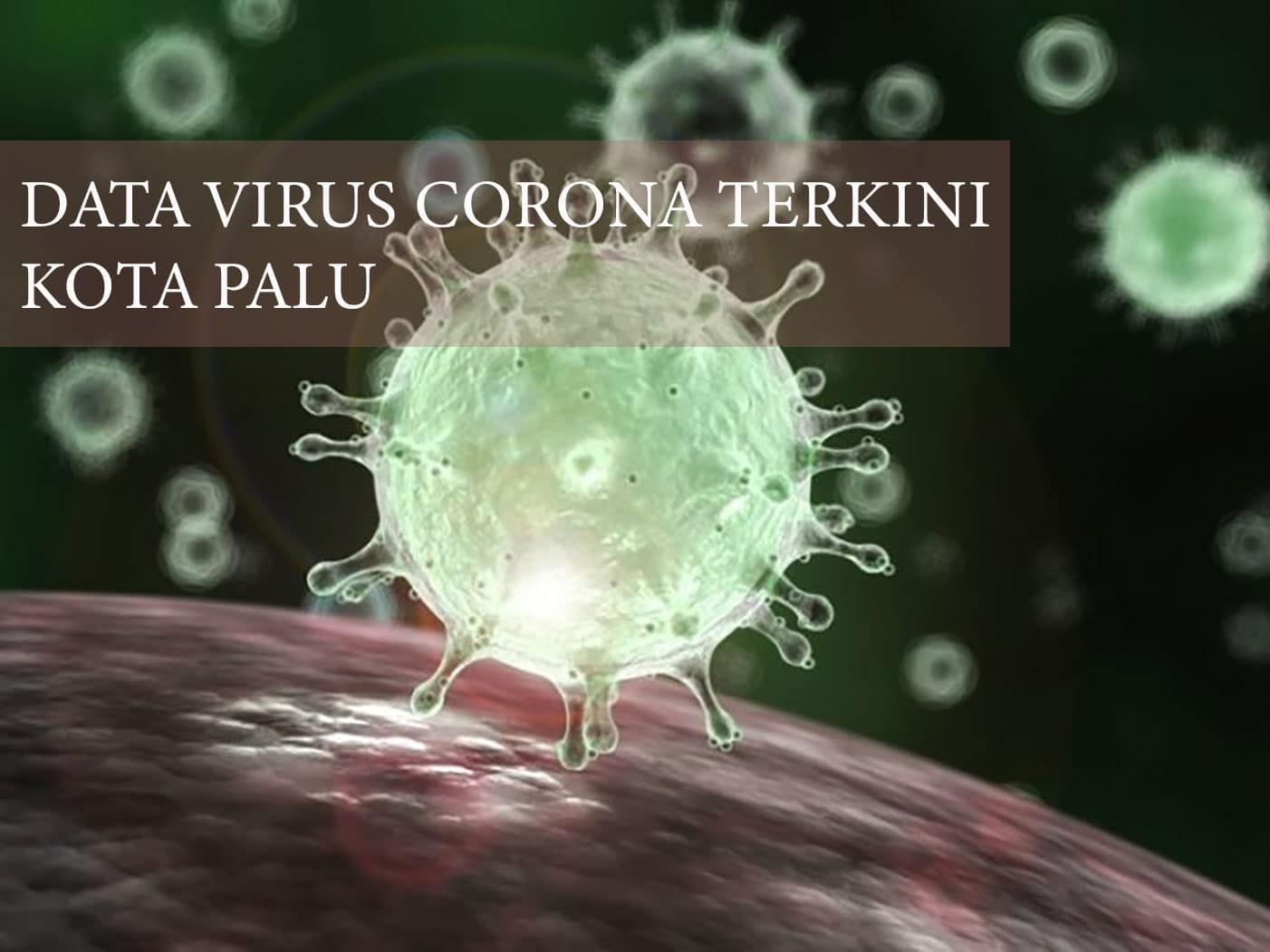 <p>Data corona Kota Palu Terkini (GemasulawesiFoto/Rafii)</p>
