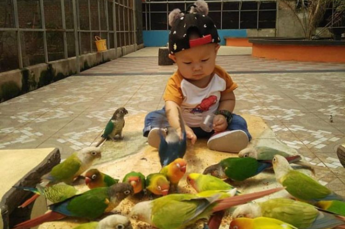 <p>Ket Foto: Bird Park Palembang Tempat Wisata yang Ramah Untuk Anak (Foto/Instagram/palembangbirdpark)</p>