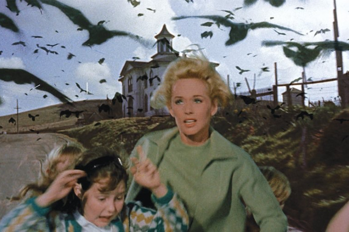 <p>Ket Foto: Foto poster film The Birds (Foto/Twitter/@MovingImageNYC)</p>
