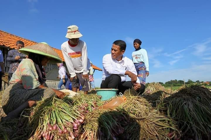 <p>Ket. Foto : Amran Sulaiman Dilantik Jadi Menteri Pertanian Hari Ini<br />
(Foto/Instagram/@a.amran_sulaiman)</p>
