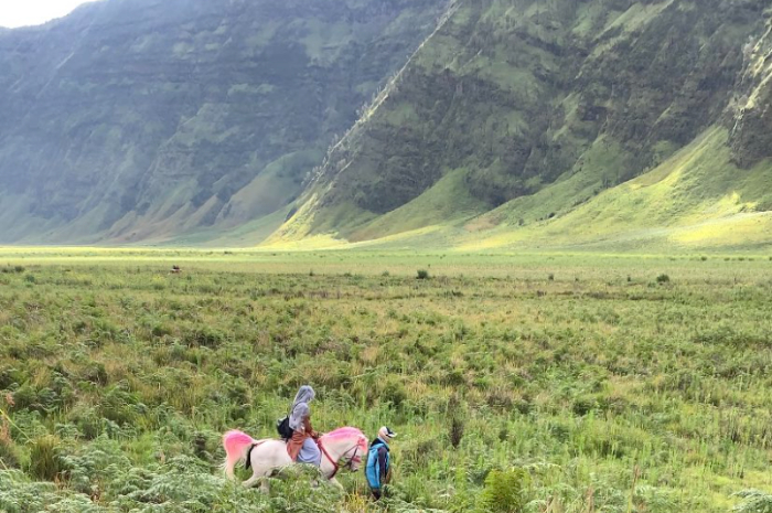 <p>Ket. Foto : Menikmati Wisata Matahari Terbenam dari Atas Bukit Hatory<br />
(Foto/Twitter/@sundshain)</p>
