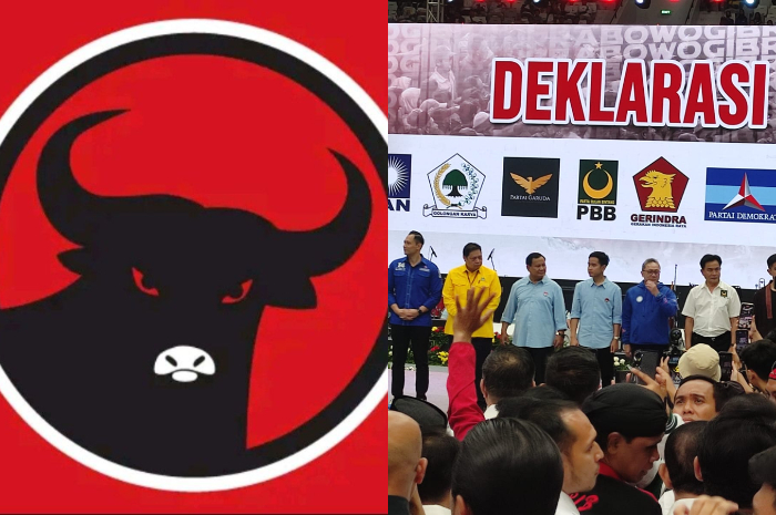 <p>Ket. Foto : Pakar Sebut PDI-P sedang Alami Stres Politik Luar Biasa Saat Ini<br />
(Foto/X/@OfficalDPP_PBB/Pinterest/@well_45)</p>
