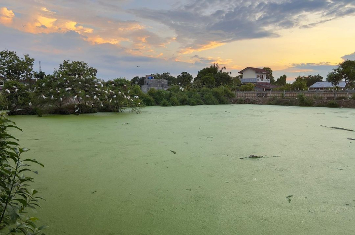 <p>Ket. Foto : Kunjungi Taman Buaya Asam Kumbang yang Merupakan Penangkaran Buaya Terbesar di Asia Tenggara<br />
(Foto/Instagram/@tamanbuaya_medan)</p>
