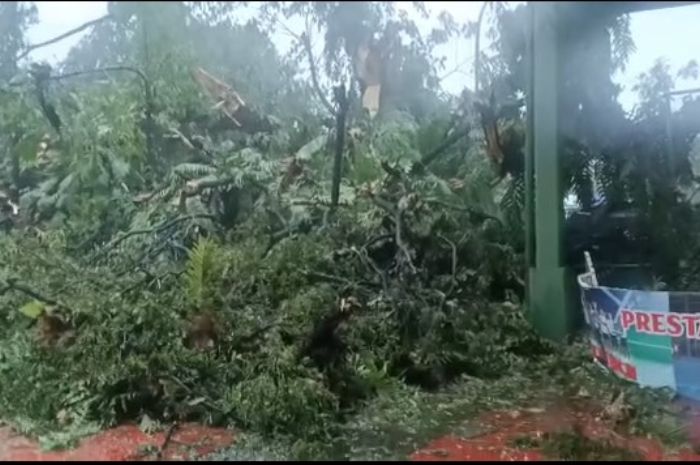 <p>Ket Foto: Sejumlah Pohon tram besi roboh di lapangan Hasanuddin. (SS Video/FB @yoes111)</p>