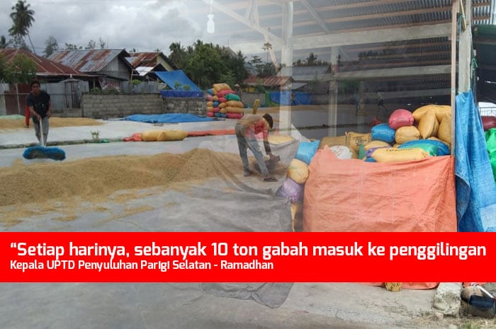 <p>Foto: Gabah Menumpuk di Penggilingan di Kecamatan Parigi Selatan, Parigi Moutong. Selasa 9 Maret 2021.</p>
