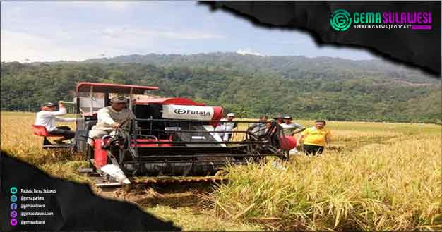 <p>Petani menggarap padi (Ilustrasi Gambar)</p>
