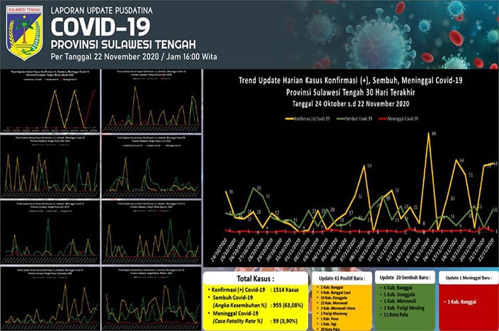 <p>Tangkapan Layar Grafik Data Pusdatina Pemprov Sulteng.</p>
