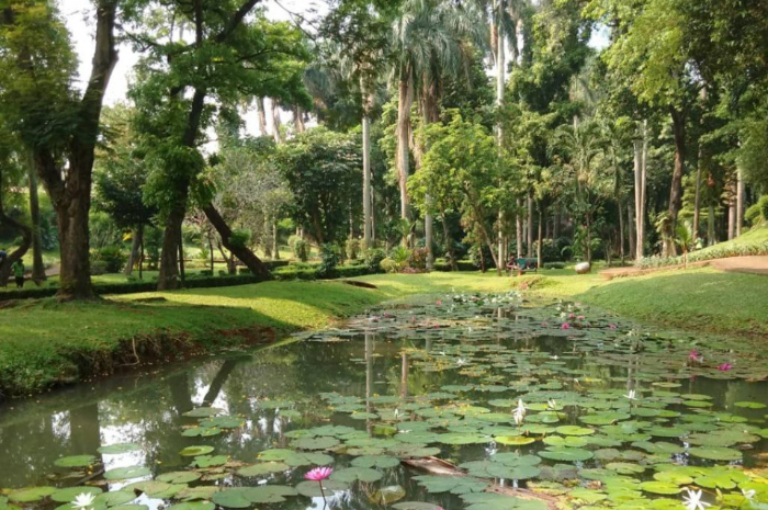 <p>Ket foto: Berburu foto di Taman Langsat Jakarta, banyak spot Instagramable (Foto/Instagram/adinda__galuh)</p>
