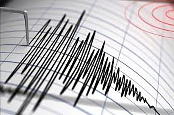<p>Foto: Illustrasi Getaran Gempa Palasa</p>
