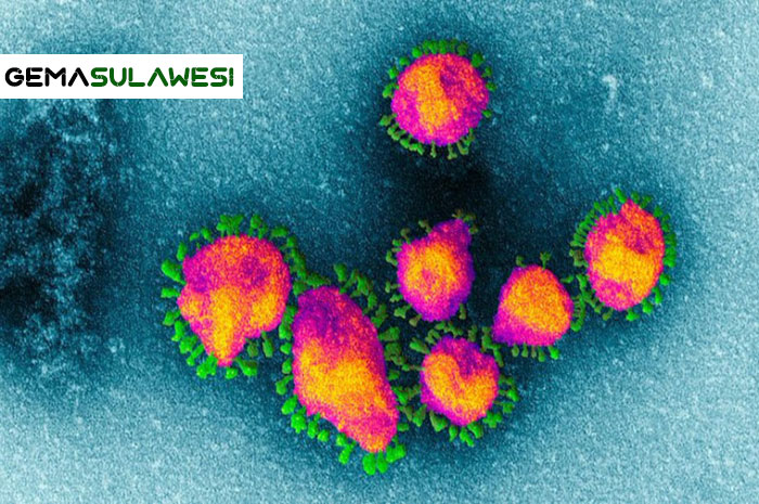 <p>Illustrasi virus corona</p>
