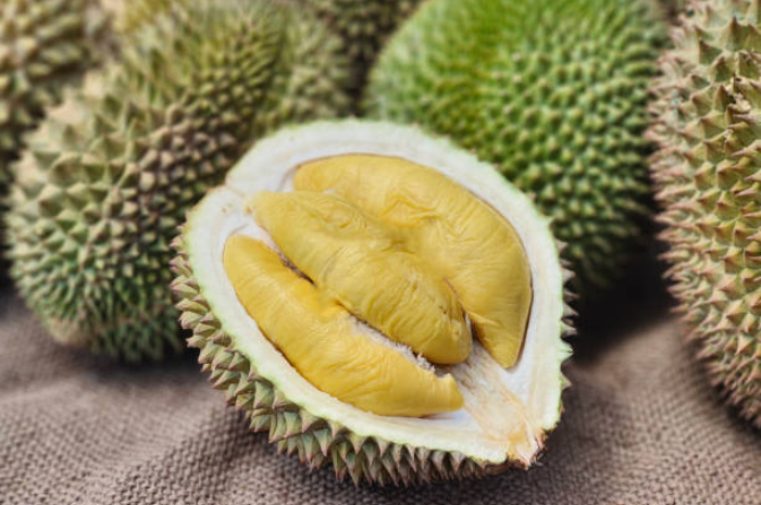<p>Ket Foto: Ilustrasi buah Durian Montong (Foto/Pixabay)</p>
